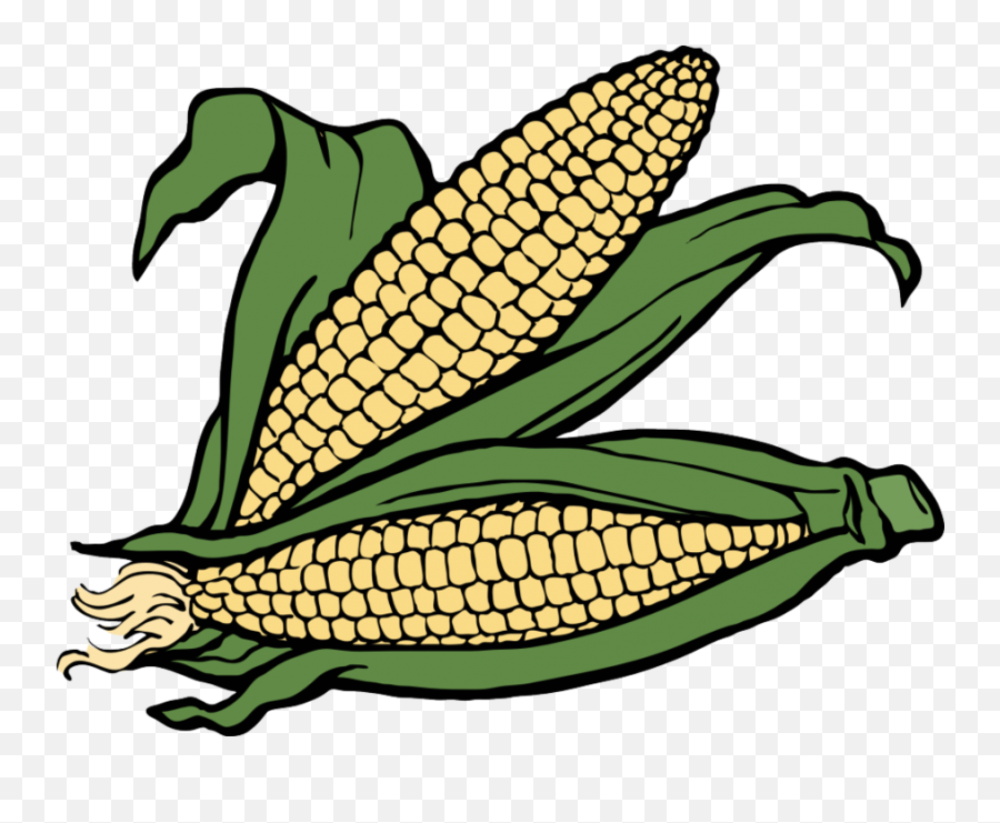 Download Corn Clipart Maize Clip Art - Corns Clipart Png,Corn Transparent Background