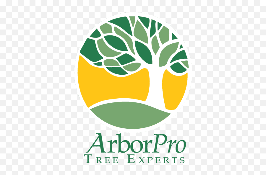Welcome To Arborpro Tree Experts - Arborpro Tree Experts Tree Service Png,The Last Remnant Icon