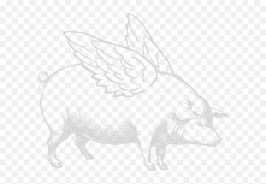 How - To Mercato U2014 Gambrel And Co Domestic Pig Png,Flying Pig Icon