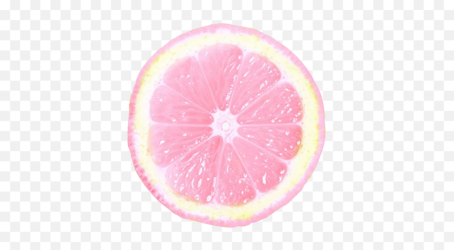 Transparent Not My Pic - Lemon Slice Png,Lemonade Transparent