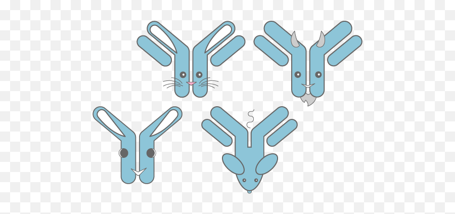 Custom Antibody Development Services Ru0026d Systems Antibodies - Language Png,Dev Icon