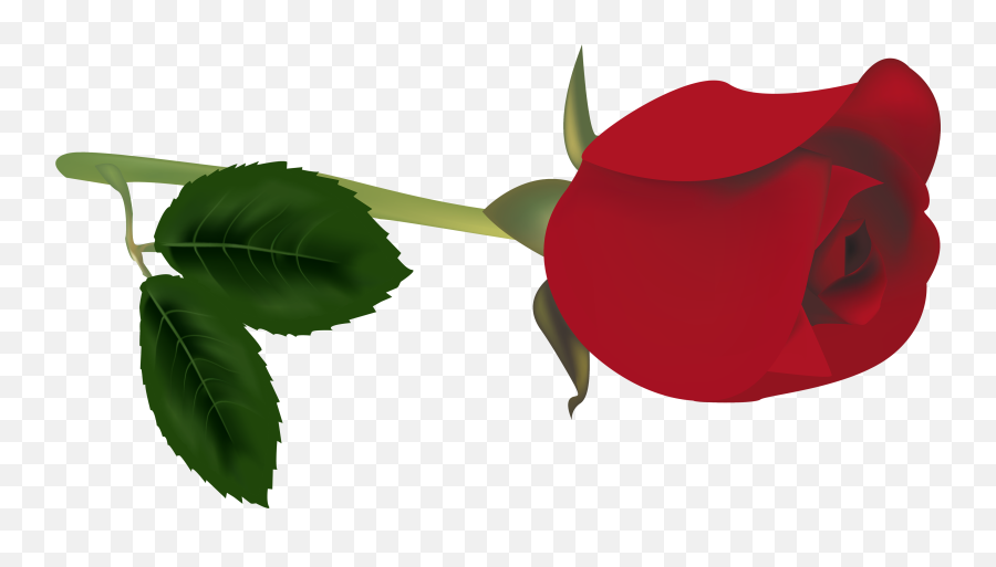 Red - Roseflowerfreepngtransparentimagesfreedownload Rose Buds Png,Rose Clipart Transparent
