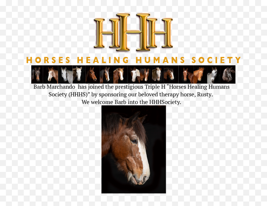 Hhh Society - Mustang Horse Png,Triple H Png