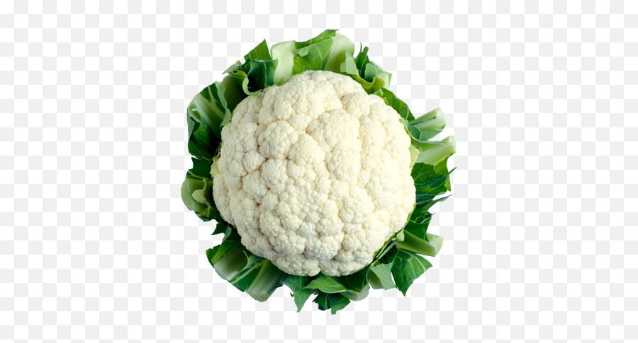 Cauliflower Hd - Cauliflower Png,Cauliflower Png