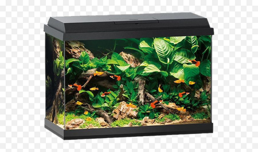 Aquarium Fish Tank Png Hd Image - Juwel Primo 70 Black,Fish Tank Png