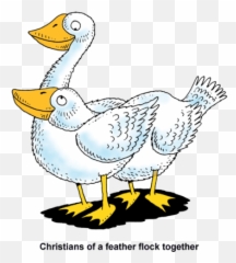 Flock Of Birds Clipart Goose - A Feather Together png