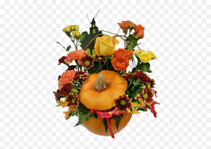Halloween Pumpkin - Garden Roses Png,Halloween Pumpkin Transparent