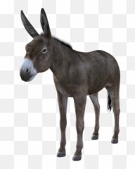 Might Be A Democrat Barry Bebart - Burro Png,Burro Png