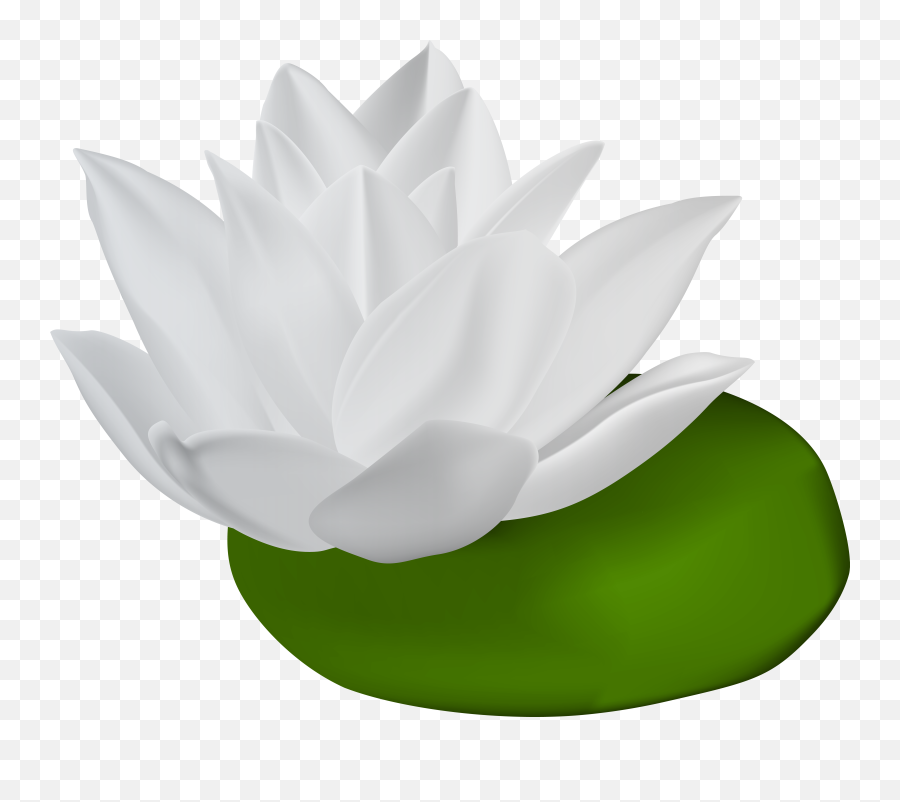 Water Lily Transparent Png Clip Art Lillies