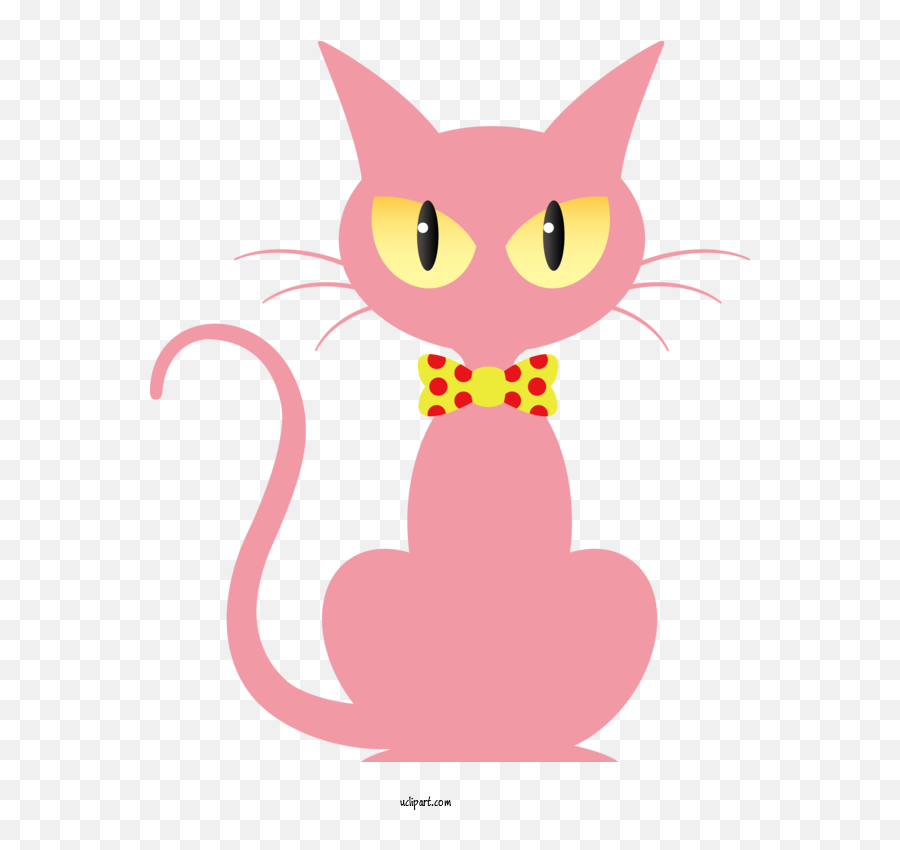 Kitten Whiskers Cat For Halloween - Halloween Logo Png,Kitten Transparent