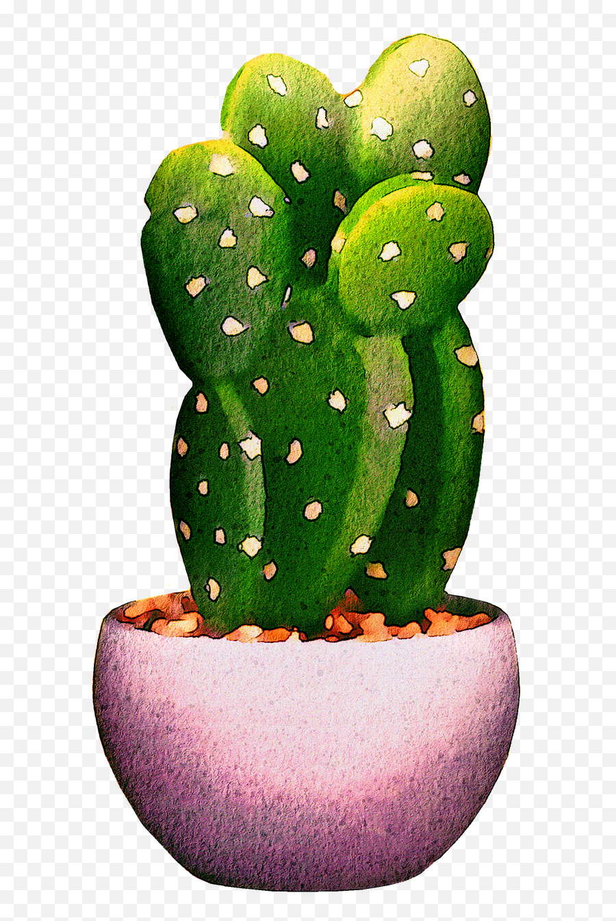 Watercolor Cactus Succulents Cacti - Free Image On Pixabay Cactos E Suculentas Png,Cactus Transparent Background