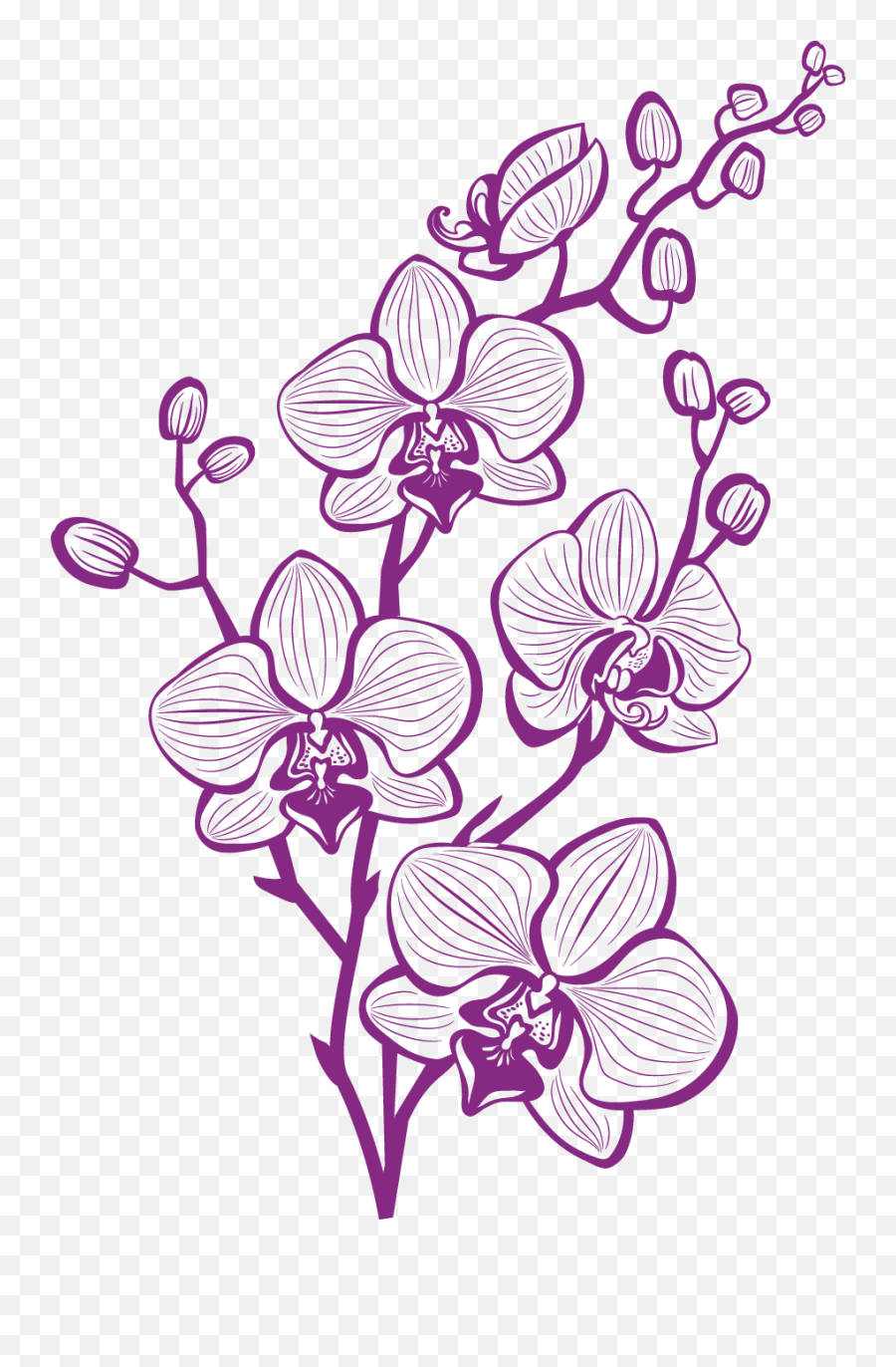 Download Hd Hand Painted Purple Orchid Vector - Purple Orchid Vector Png,Orchid Png