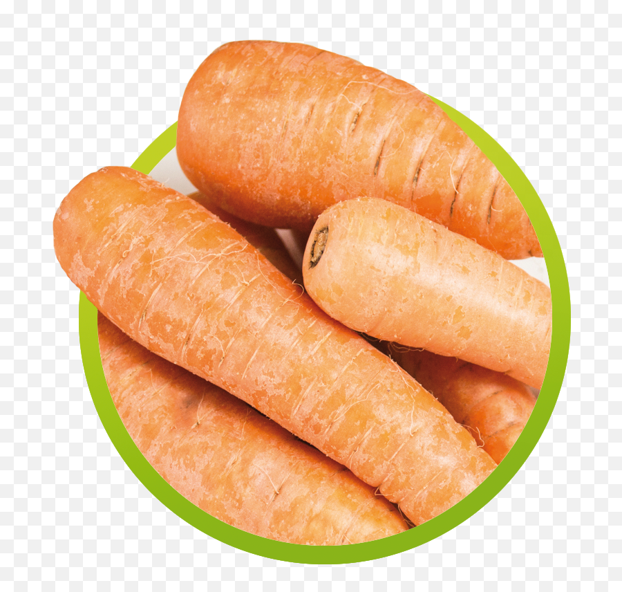 Zanahoria Png Image With No Background - Baby Carrot,Zanahoria Png