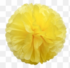 Nice Light Yellow Pom Poms From Pachia - Yellow Paper Pom Poms Png,Pom Poms Png