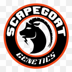 Scapegoat Crisco Reg 10 Pk - Scapegoat Png,Crisco Logo