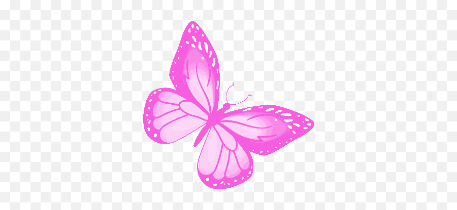 Butterfly Freedom Gif - Butterfly Freedom Pretty Discover U0026 Share Gifs Clipart Gif Image Of Butterfly Png,Butterfly Icon Image Girly