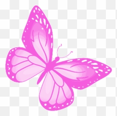 Butterfly Freedom Gif - Pretty Discover u0026 Share GIFs Clipart Gif Image Of png