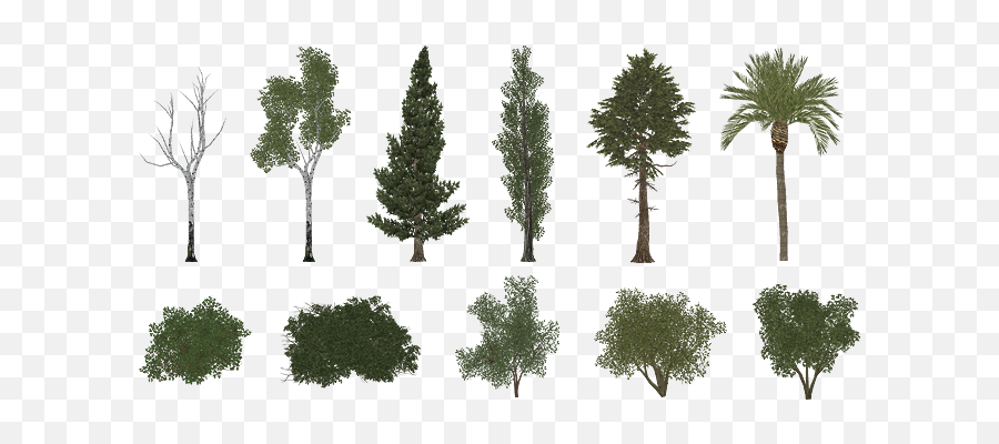 Pro Cycling Manager Foliage Pack - Zoo Tycoon 2 Tree Png,Zoo Tycoon 2 Icon