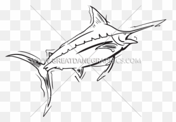 Atlantic Blue Marlin Png Image With No - Atlantic Blue Marlin,Marlin Png