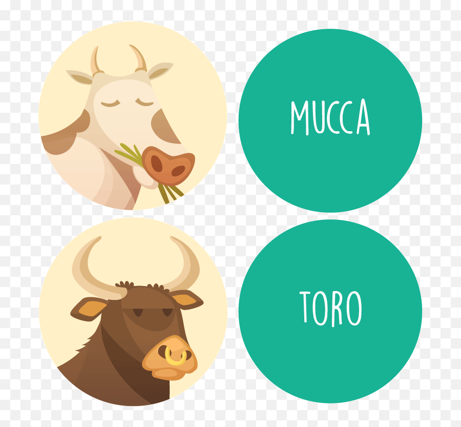 Italian Vocabulary Trainer - Flashcards And Memory Games Animal Figure Png,Toro Icon