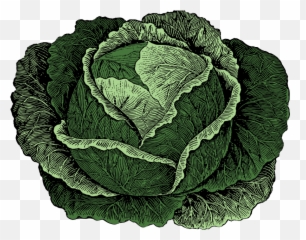 Products U2014 Harvest Moon Farms - Superfood Png,Lettuce Icon