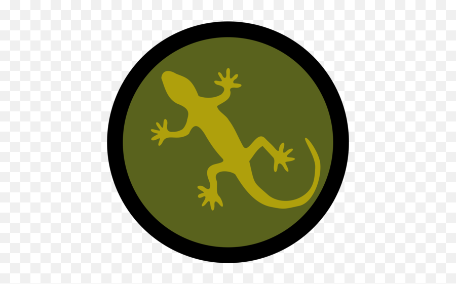 Download Hd Frog Lizard Reptile Common Iguanas Footprint - Iguana Png,Iguana Png