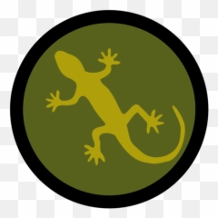 Download Hd Frog Lizard Reptile Common Iguanas Footprint - Iguana Png,Iguana Png