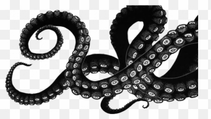 Octopus Cartoon Transparent Png - Tentacles Drawing