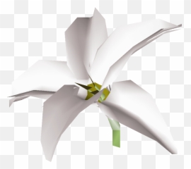 White Lily - Osrs Wiki Turbine Png,Lilies Png
