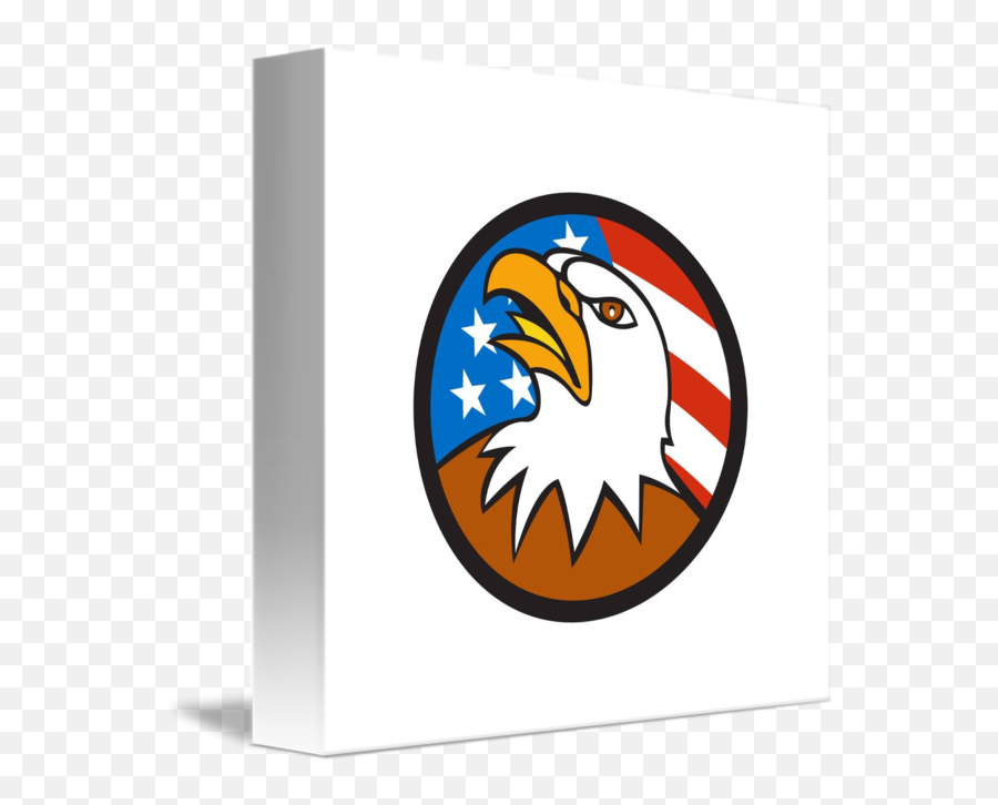 American Bald Eagle Head Looking Up - Bald Eagle Png,Eagle Head Logo