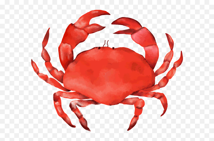Happenings Hotal Colombo - Transparent Crab Gif Png,Crab Transparent