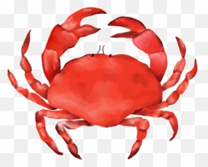 Happenings Hotal Colombo - Transparent Crab Gif Png,Crab Transparent