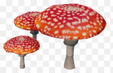 Amanita Mushroom - Poisonous Mushroom Png,Fungi Png