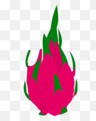 Dragonfruit - Cartoon Dragonfruit Png,Dragonfruit Png