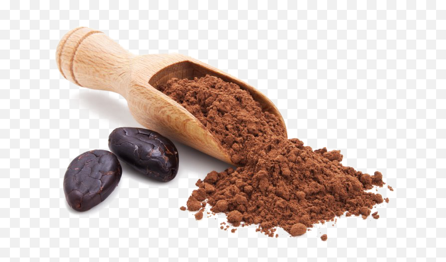 Cocoa Beans Transparent Background - Cocoa Powder Png,Cocoa Png