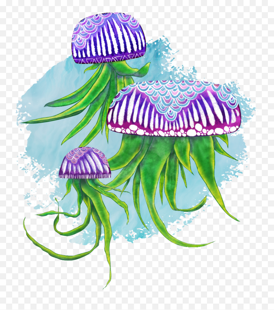 Tillandsia Airplant Jellyfish Bloom U2014 Violavixi - Illustration Png,Jellyfish Png