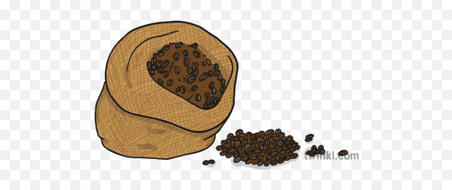 Coffee Beans Illustration - Twinkl Seed Png,Coffee Bean Png