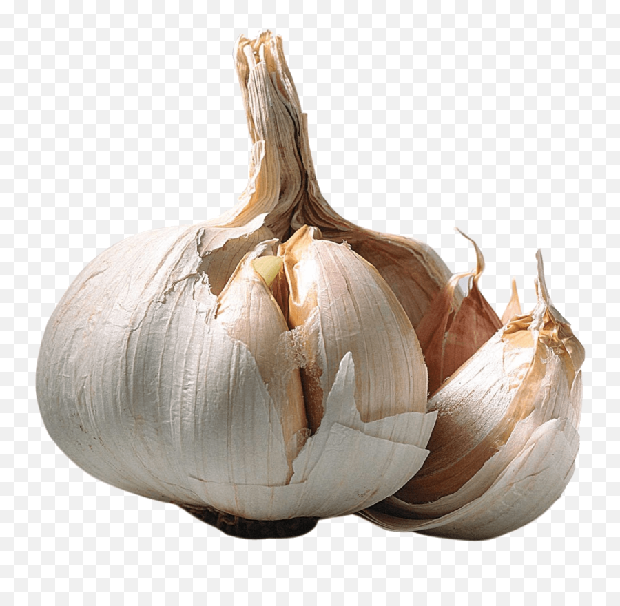 Garlic Opened Transparent Png - Garlic With No Background,Garlic Transparent Background