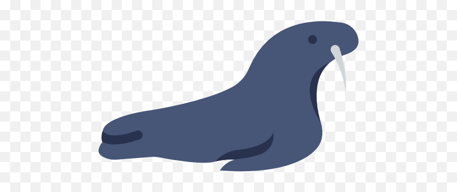 Sea Lion Walrus Computer Icons - Parrot Png,Walrus Png