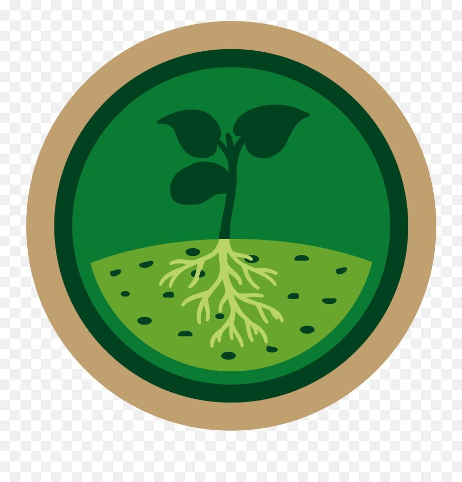 Arable Crops - Fertilisation Du Sol Clipart Png,Crops Png