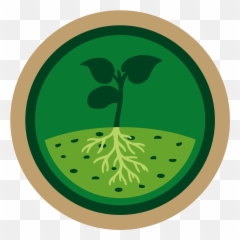 Arable Crops - Fertilisation Du Sol Clipart Png,Crops Png