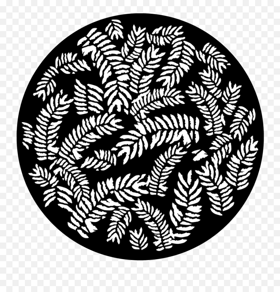 Apollo Fern - Me1132 Decorative Png,Ferns Png