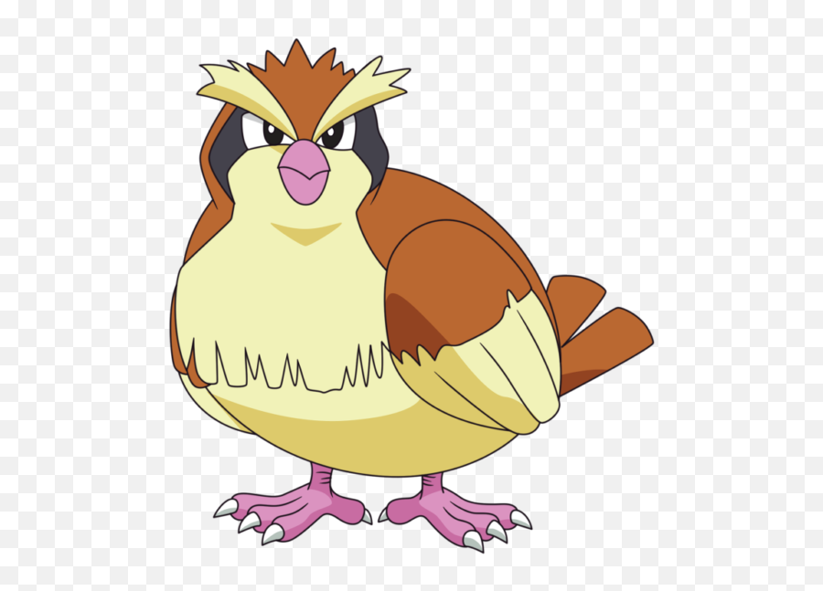 Evolución De Pidgey - Pidgey Png,Pidgey Png