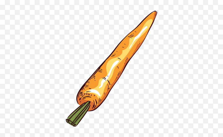 Detailed Orange Carrot Illustration - Drawing Png,Carrot Transparent