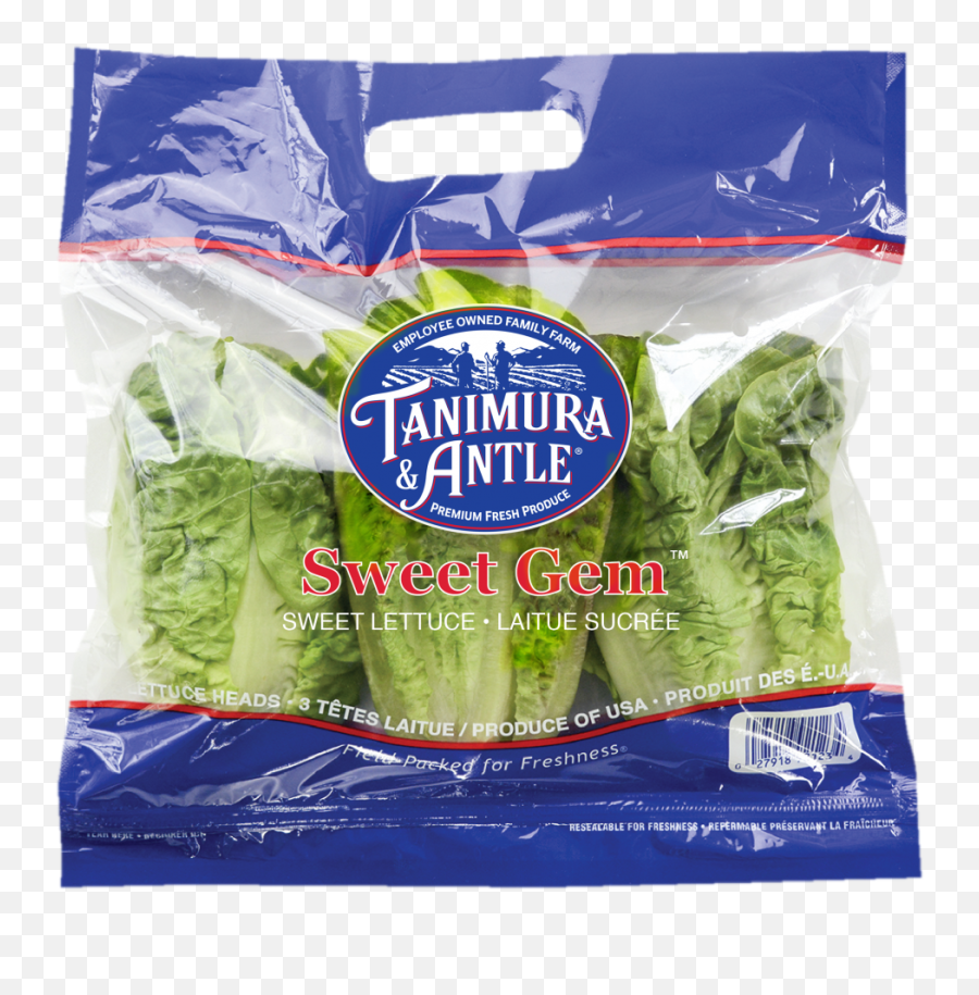 Artisan Lettuce - Superfood Png,Lettuce Transparent