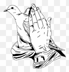 Worship Hands Png - rip dove peace prayer Worship Prayer Hand Png