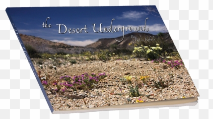 The Desert Underground - Chaparral png