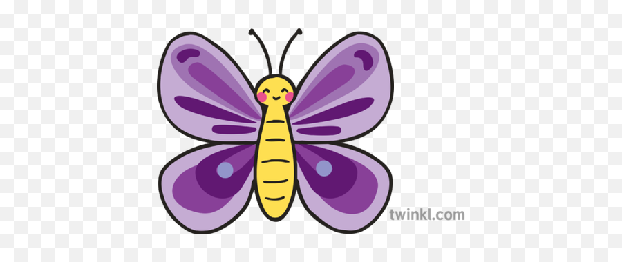 Purple Butterfly Cmyk Illustration - Twinkl Girly Png,Butterfly Icon Image Girly