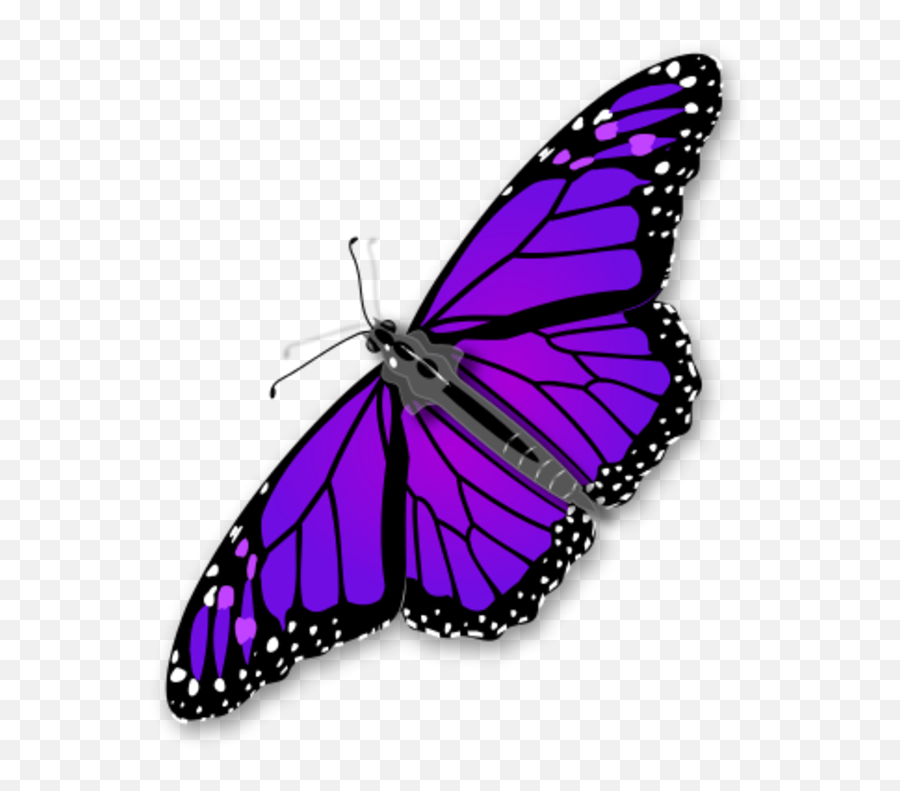 Download Purple Butterfly Transparent - Transparent Background Butterfly Clipart Png,Butterfly Transparent