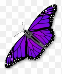 Download Purple Butterfly Transparent - Background Clipart Png